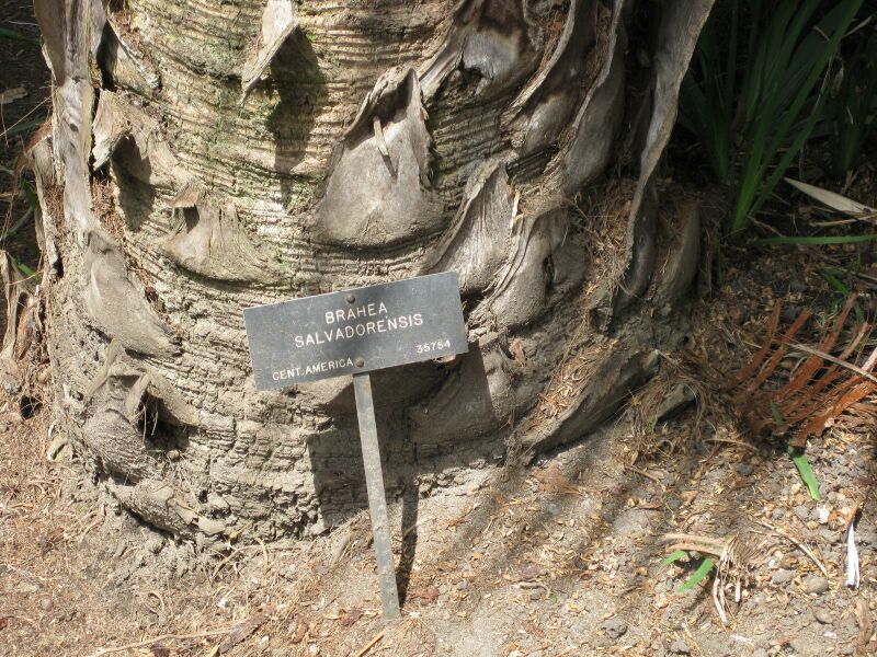 File:IMG 4138 hunt0904.jpg