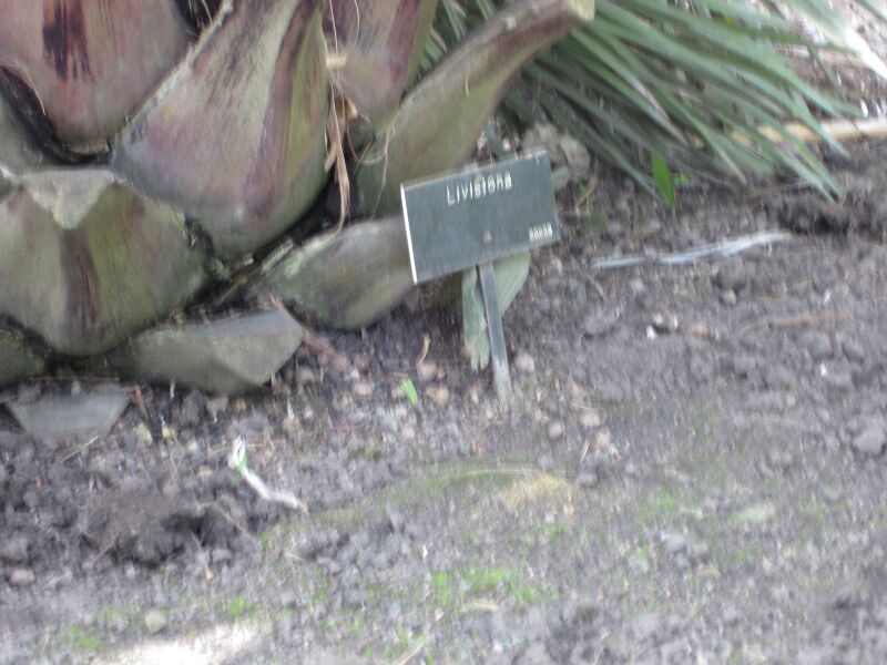 File:IMG 4142 hunt0904.jpg