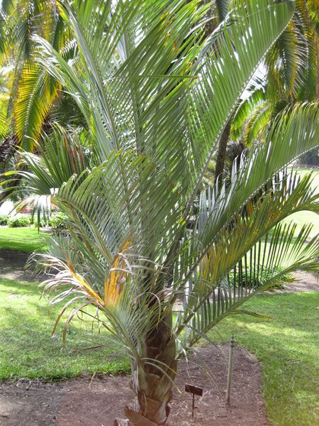 File:IMG 4143 hunt0904.jpg