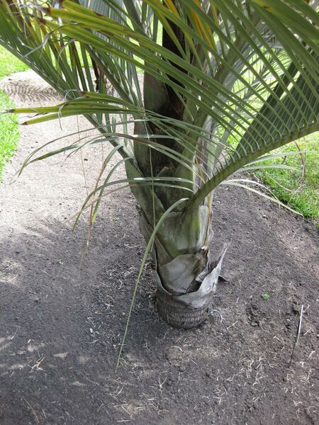 File:IMG 4145 hunt0904.jpg