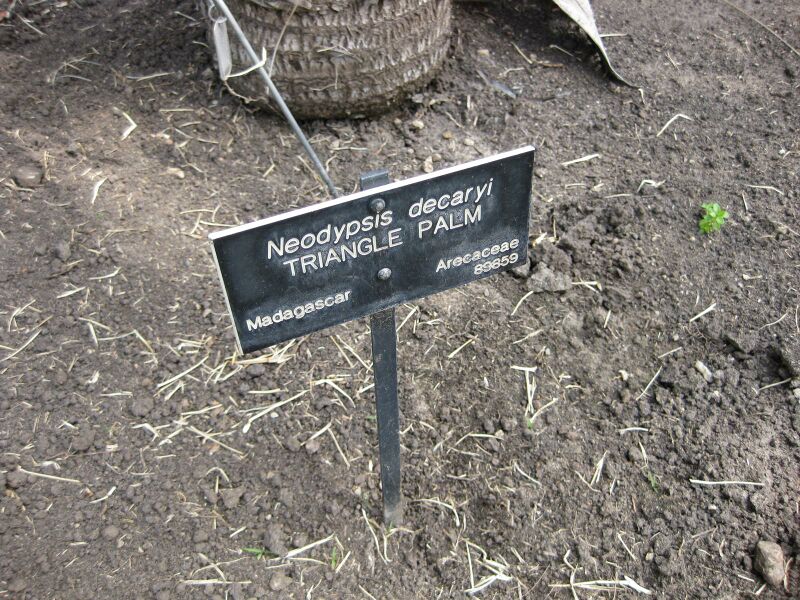 File:IMG 4147 hunt0904.jpg