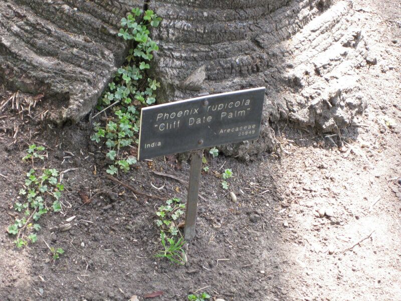 File:IMG 4149 hunt0904.jpg