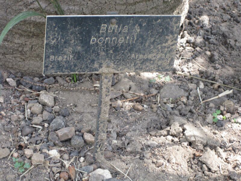 File:IMG 4157 hunt0904.jpg