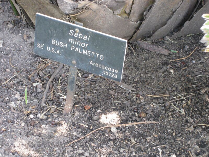 File:IMG 4159 hunt0904.jpg