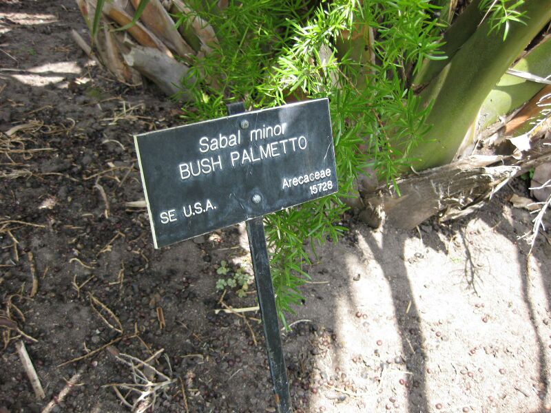 File:IMG 4161 hunt0904.jpg