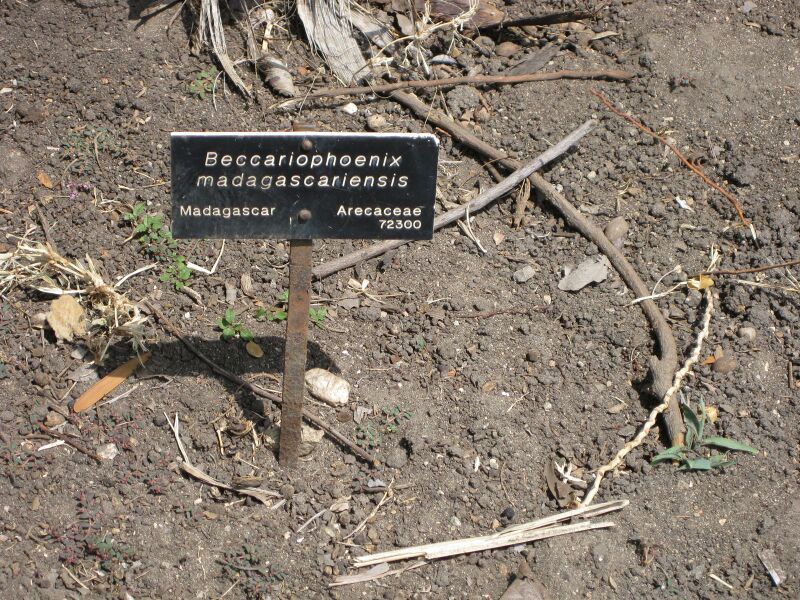 File:IMG 4163 hunt0904.jpg