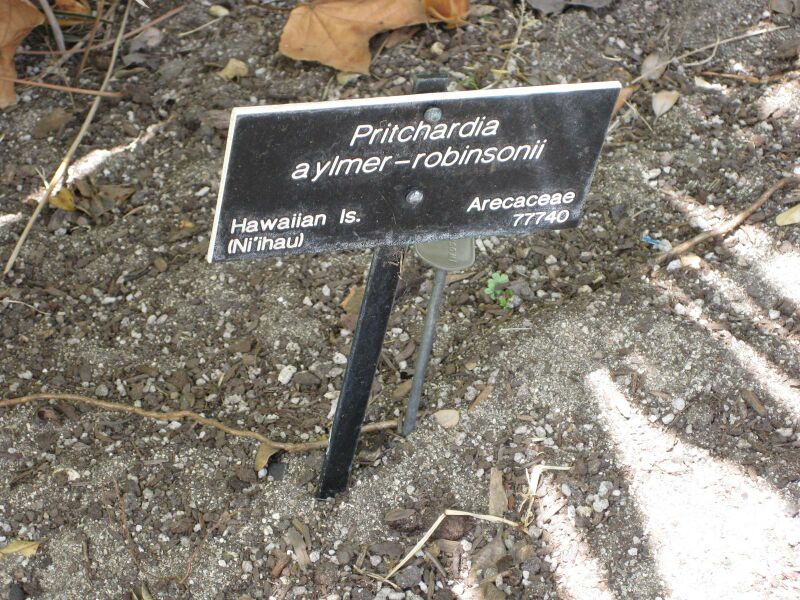 File:IMG 4165 hunt0904.jpg