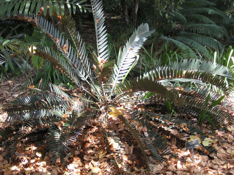 File:IMG 4170 hunt0904.jpg