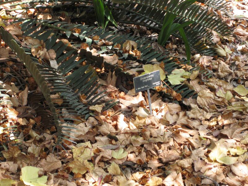 File:IMG 4171 hunt0904.jpg