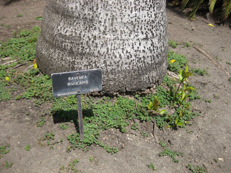 File:IMG 4174 hunt0904.jpg