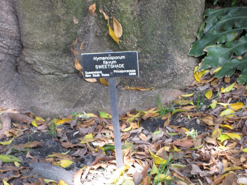 File:IMG 4181 hunt0904.jpg