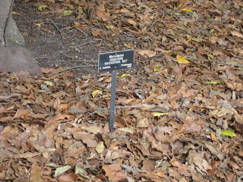 File:IMG 4186 hunt0904.jpg