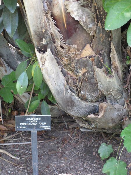 File:IMG 4188 hunt0904.jpg