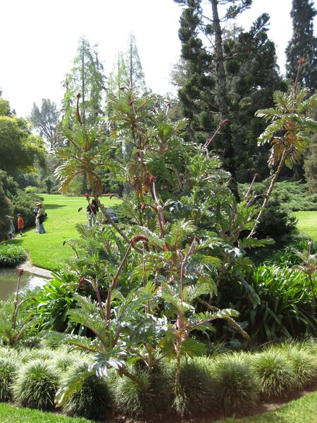 File:IMG 4189 hunt0904.jpg