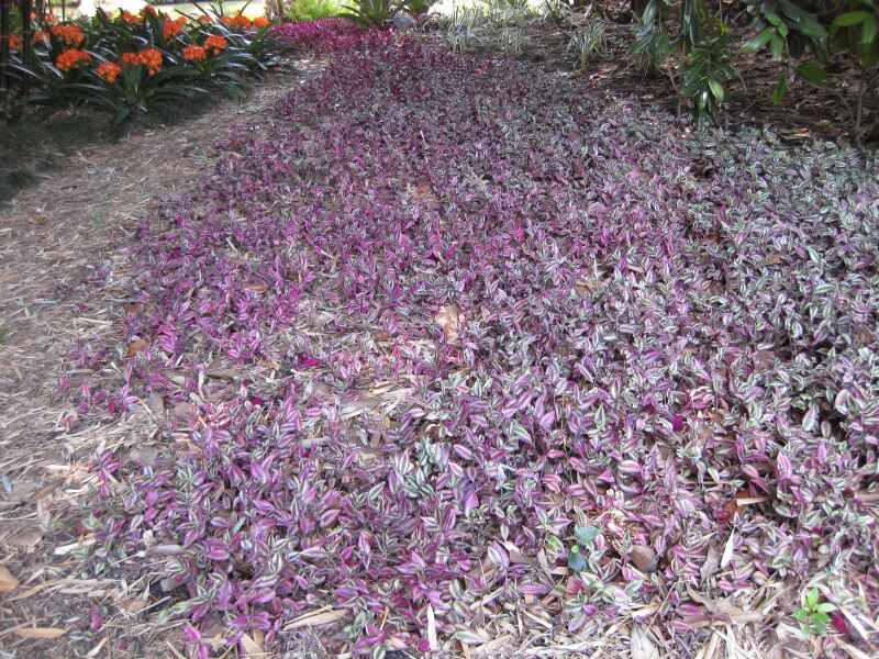 File:IMG 4191 hunt0904.jpg