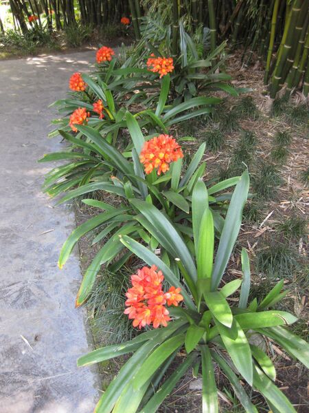 File:IMG 4193 hunt0904.jpg