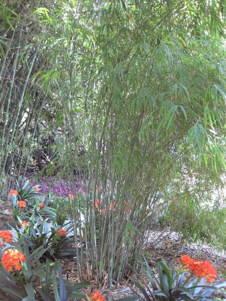 File:IMG 4196 hunt0904.jpg