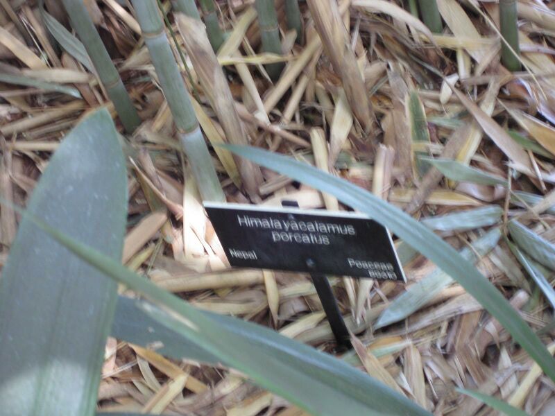 File:IMG 4198 hunt0904.jpg