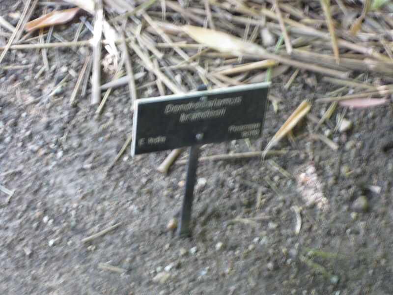 File:IMG 4200 hunt0904.jpg