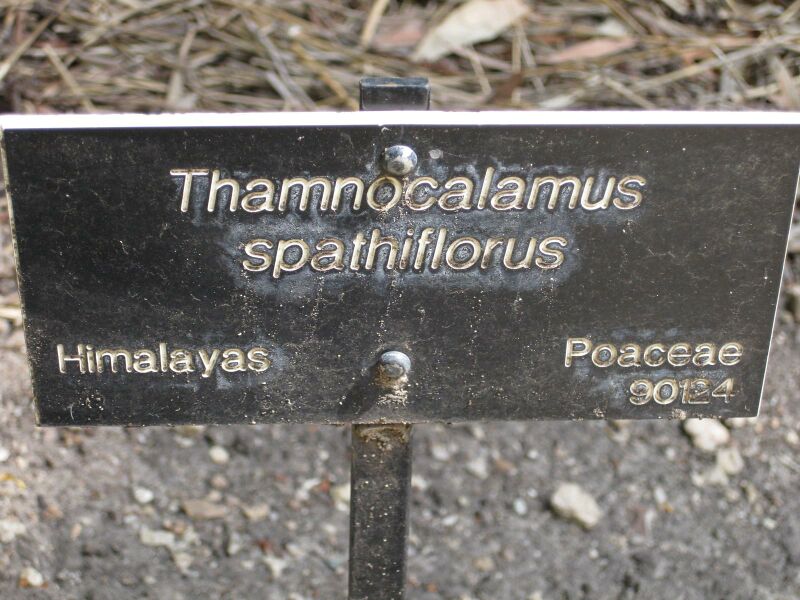 File:IMG 4203 hunt0904.jpg