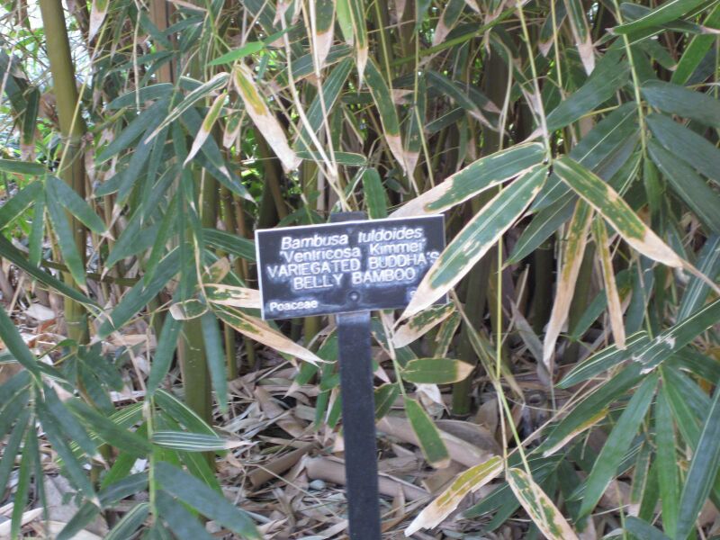 File:IMG 4206 hunt0904.jpg