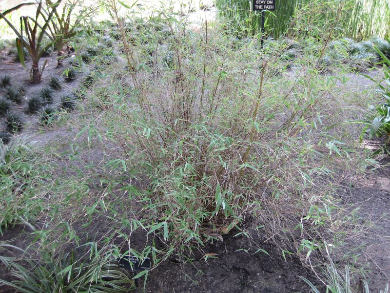 File:IMG 4207 hunt0904.jpg