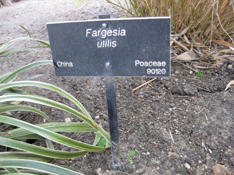 File:IMG 4209 hunt0904.jpg