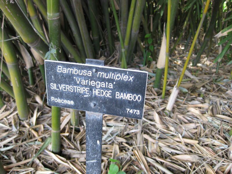 File:IMG 4212 hunt0904.jpg