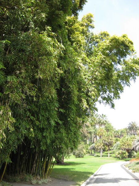 File:IMG 4214 hunt0904.jpg