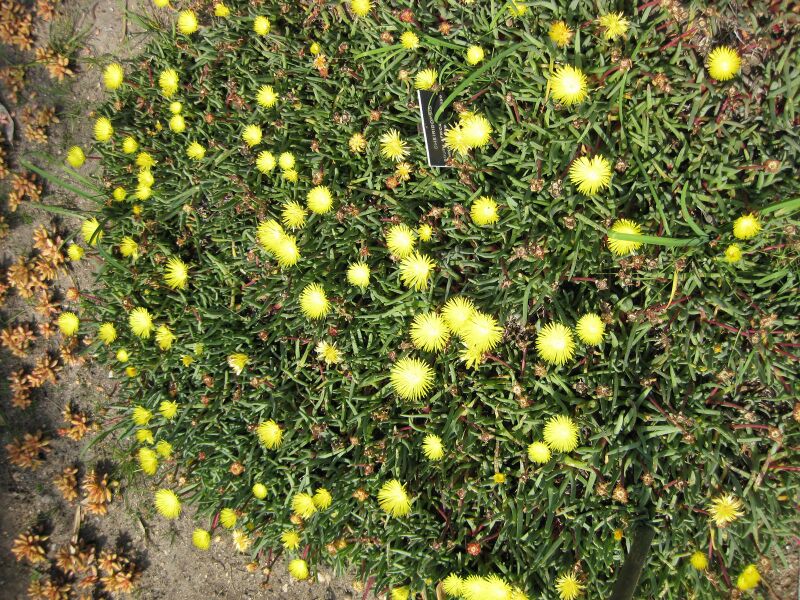 File:IMG 4219 hunt0904.jpg