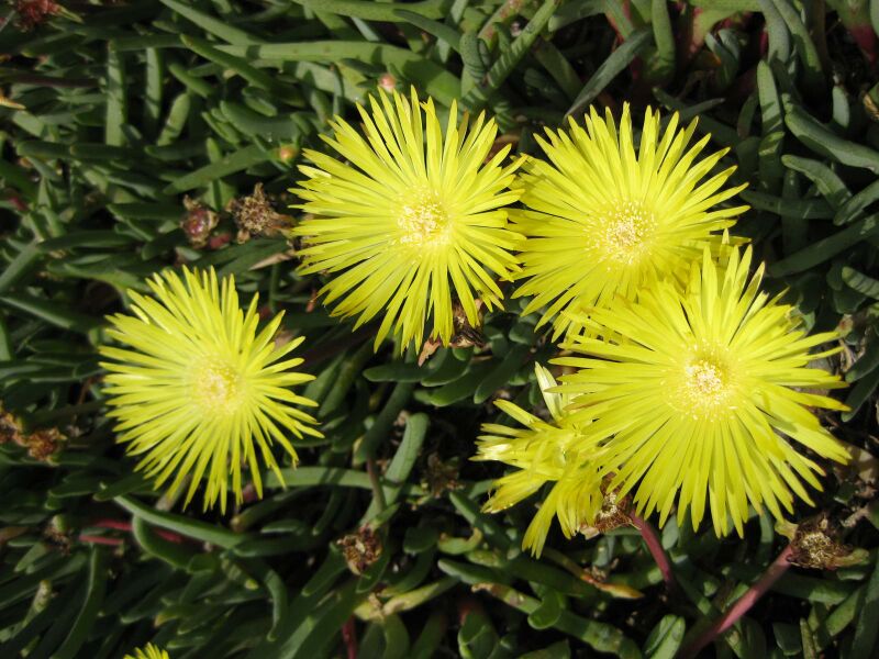 File:IMG 4220 hunt0904.jpg