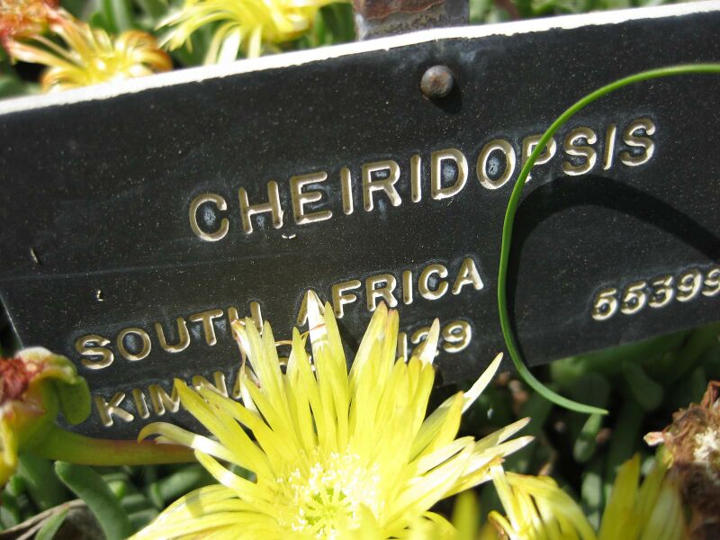 File:IMG 4221 hunt0904.jpg