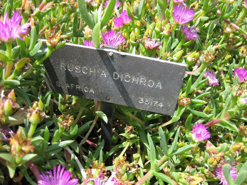 File:IMG 4223 hunt0904.jpg