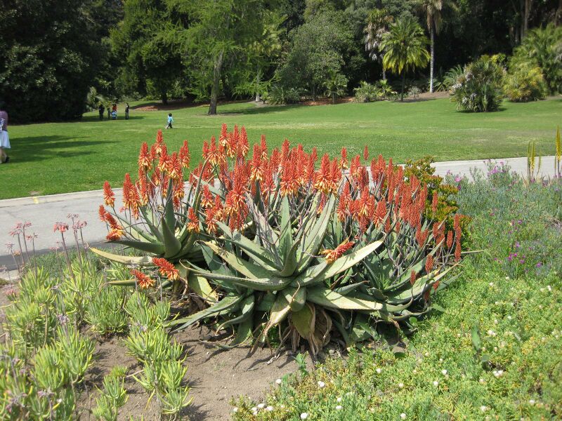 File:IMG 4228 hunt0904.jpg