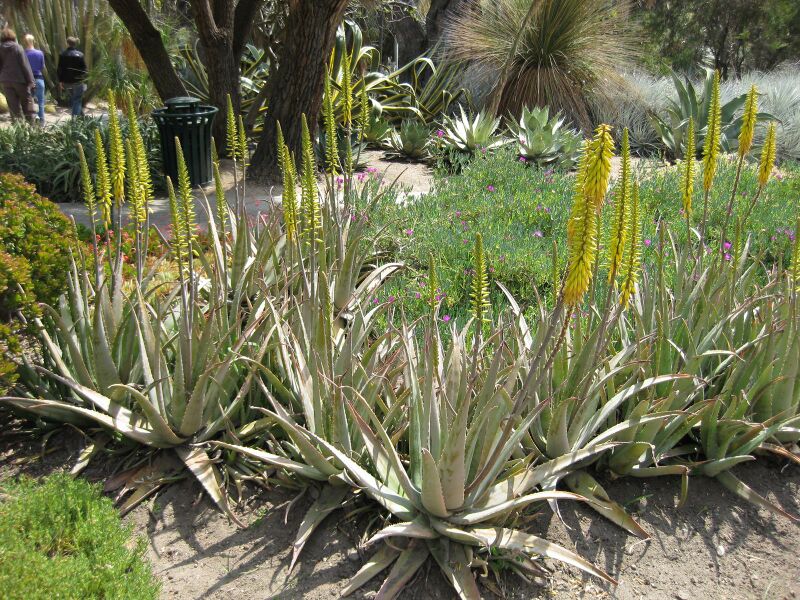 File:IMG 4230 hunt0904.jpg