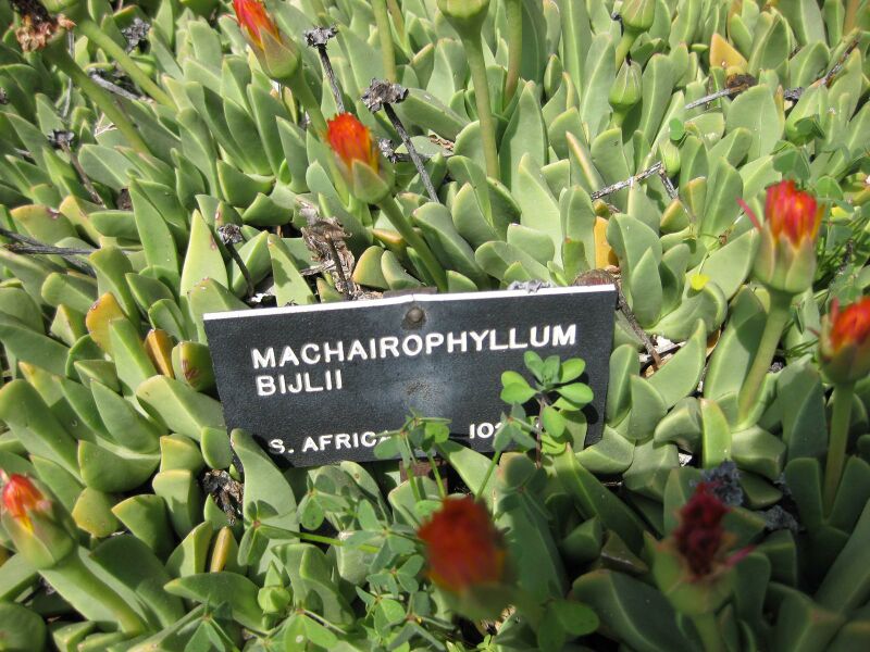 File:IMG 4237 hunt0904.jpg