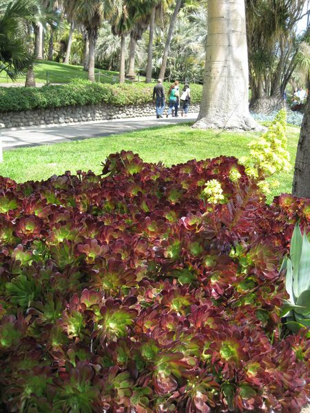 File:IMG 4240 hunt0904.jpg