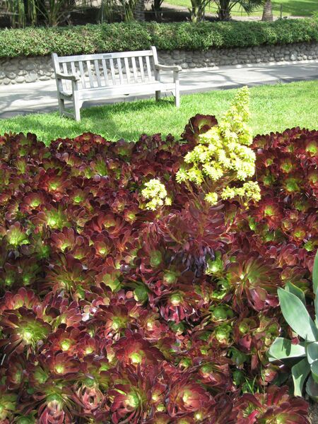 File:IMG 4241 hunt0904.jpg