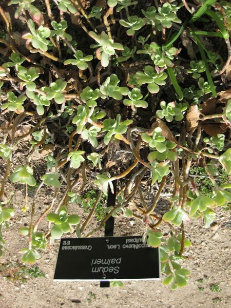 File:IMG 4245 hunt0904.jpg