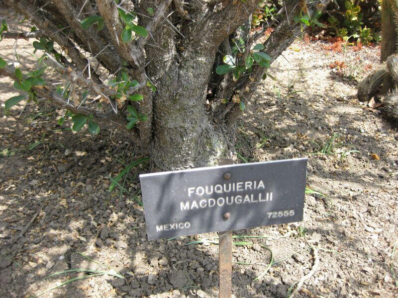 File:IMG 4248 hunt0904.jpg