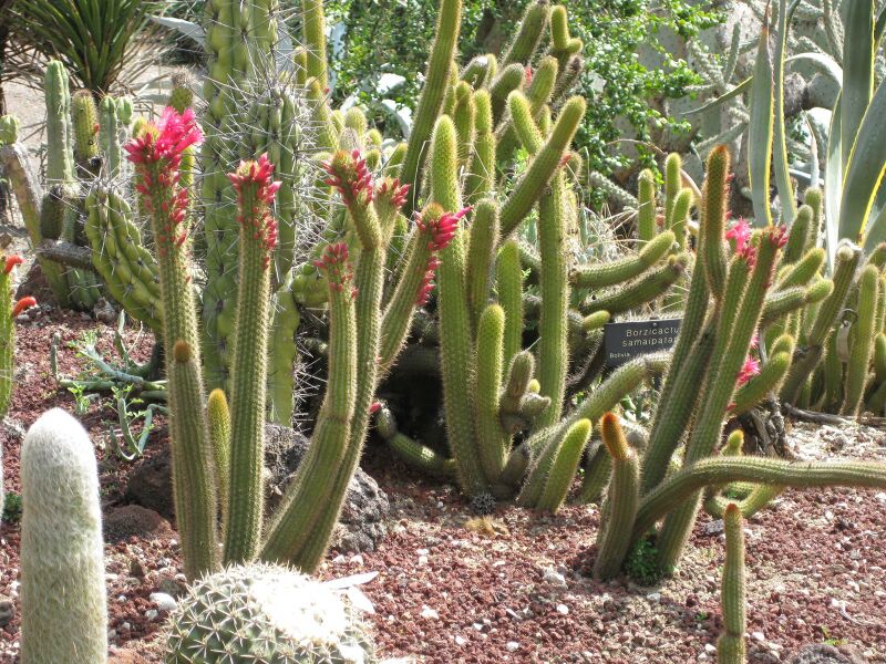 File:IMG 4251 hunt0904.jpg