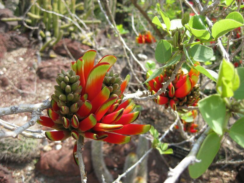 File:IMG 4254 hunt0904.jpg