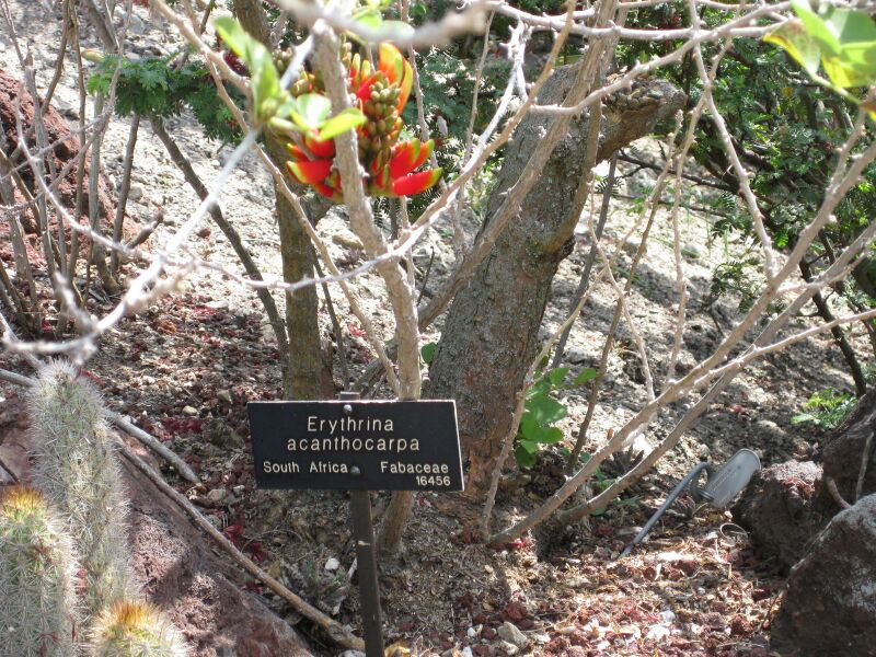 File:IMG 4255 hunt0904.jpg