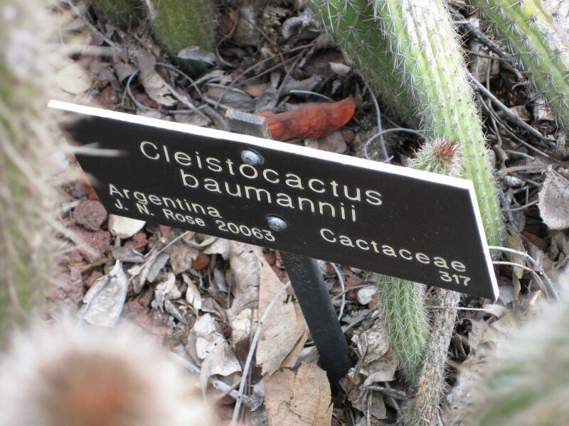 File:IMG 4259 hunt0904.jpg