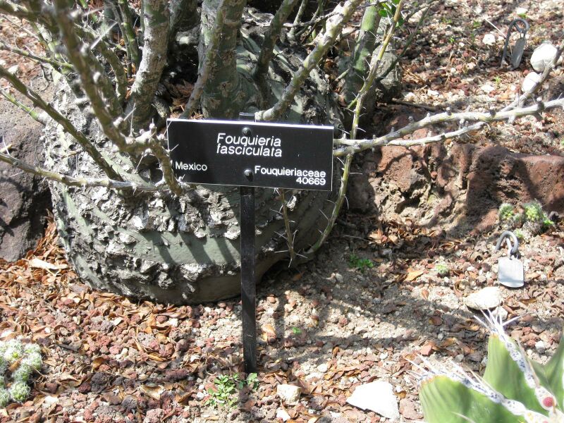 File:IMG 4261 hunt0904.jpg