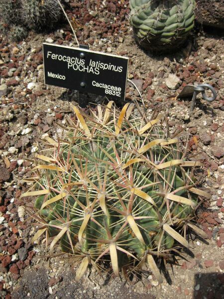 File:IMG 4262 hunt0904.jpg