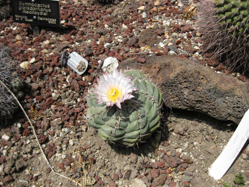 File:IMG 4263 hunt0904.jpg