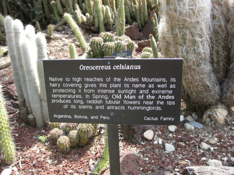 File:IMG 4266 hunt0904.jpg