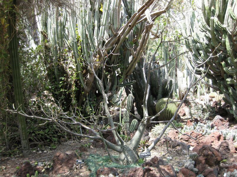 File:IMG 4268 hunt0904.jpg