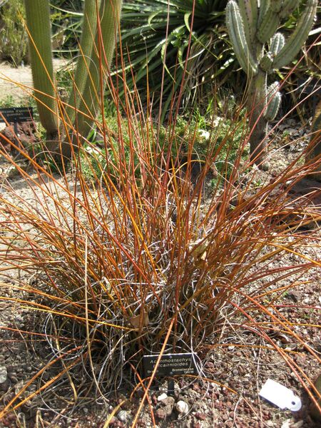 File:IMG 4269 hunt0904.jpg